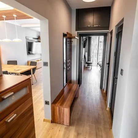 Vitoshka's Finest Apartment *
